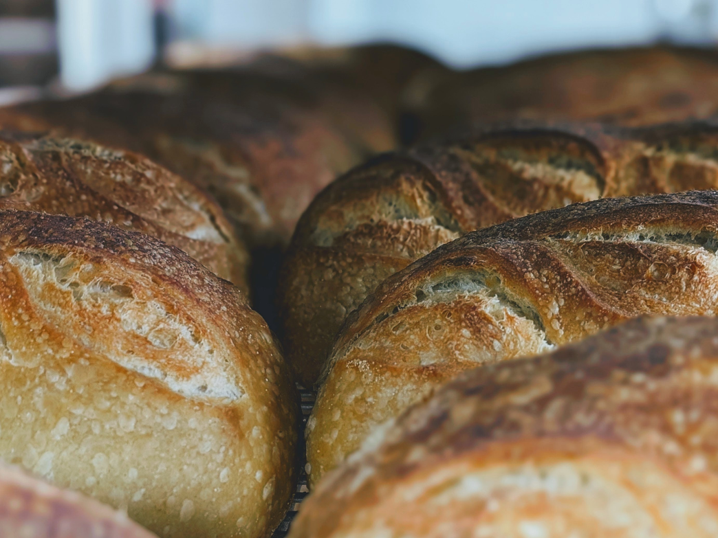 Close-up of several sourdough loaves showing golden, blistered crusts and scored tops on a bakery rack