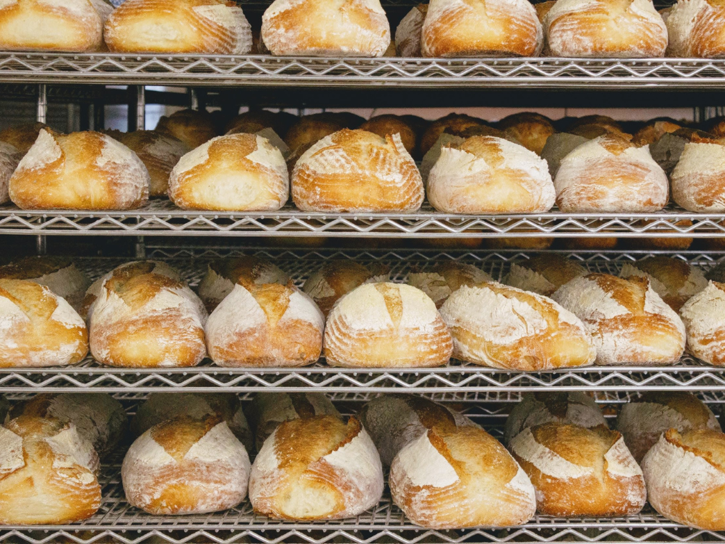 A variety of sourdough loaves displayed on shelves in a bakery.