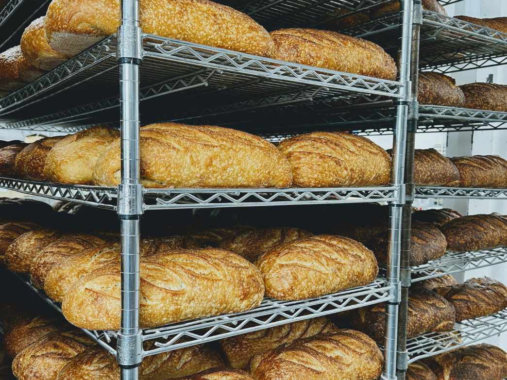 Freshly baked loaves of sourdough bread on wire racks