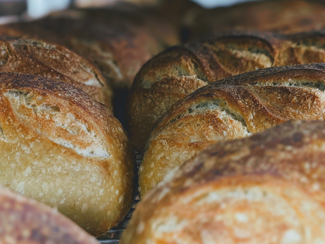 Close-up of several golden-brown sourdough loaves with crisp crusts on a cooling rack