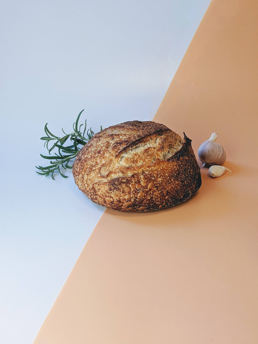 Sourdough bread with garlic and rosemary on a peach background