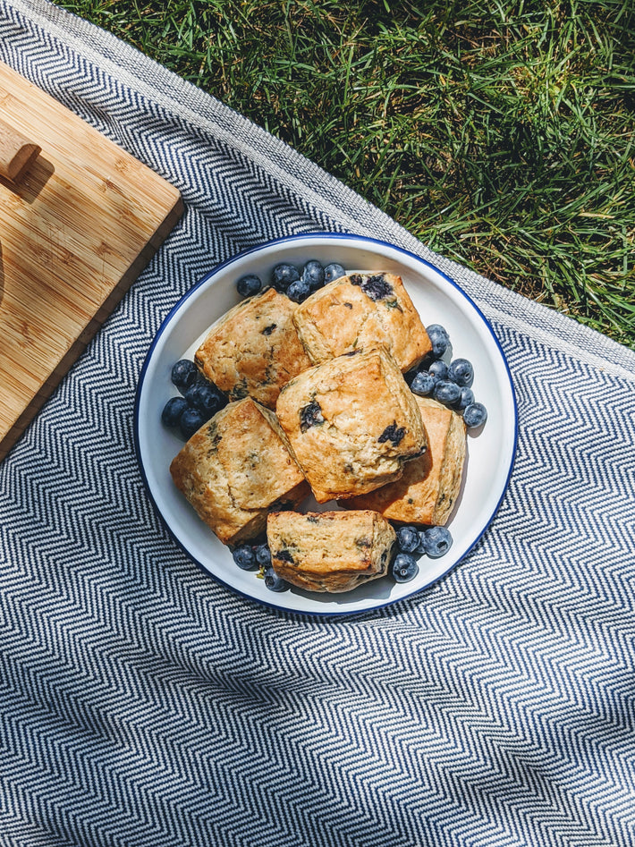 Blueberry biscuits on a plate with fresh blueberries