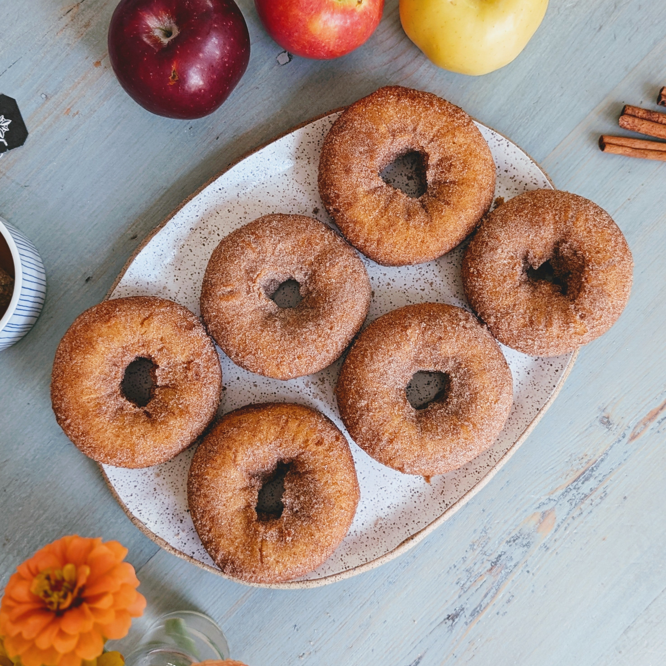 Overhead of six Apple Cider Donuts with cinnamon-sugar coating on a white speckled oval plate on a blue wooden table