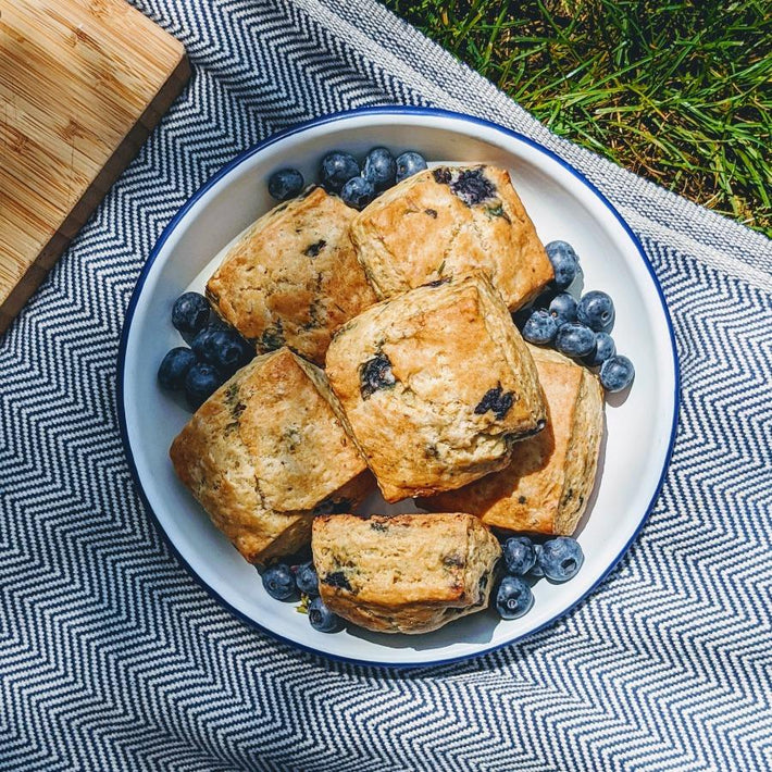 Five square blueberry scones on a white enamel plate with fresh blueberries, on a herringbone picnic cloth by grass