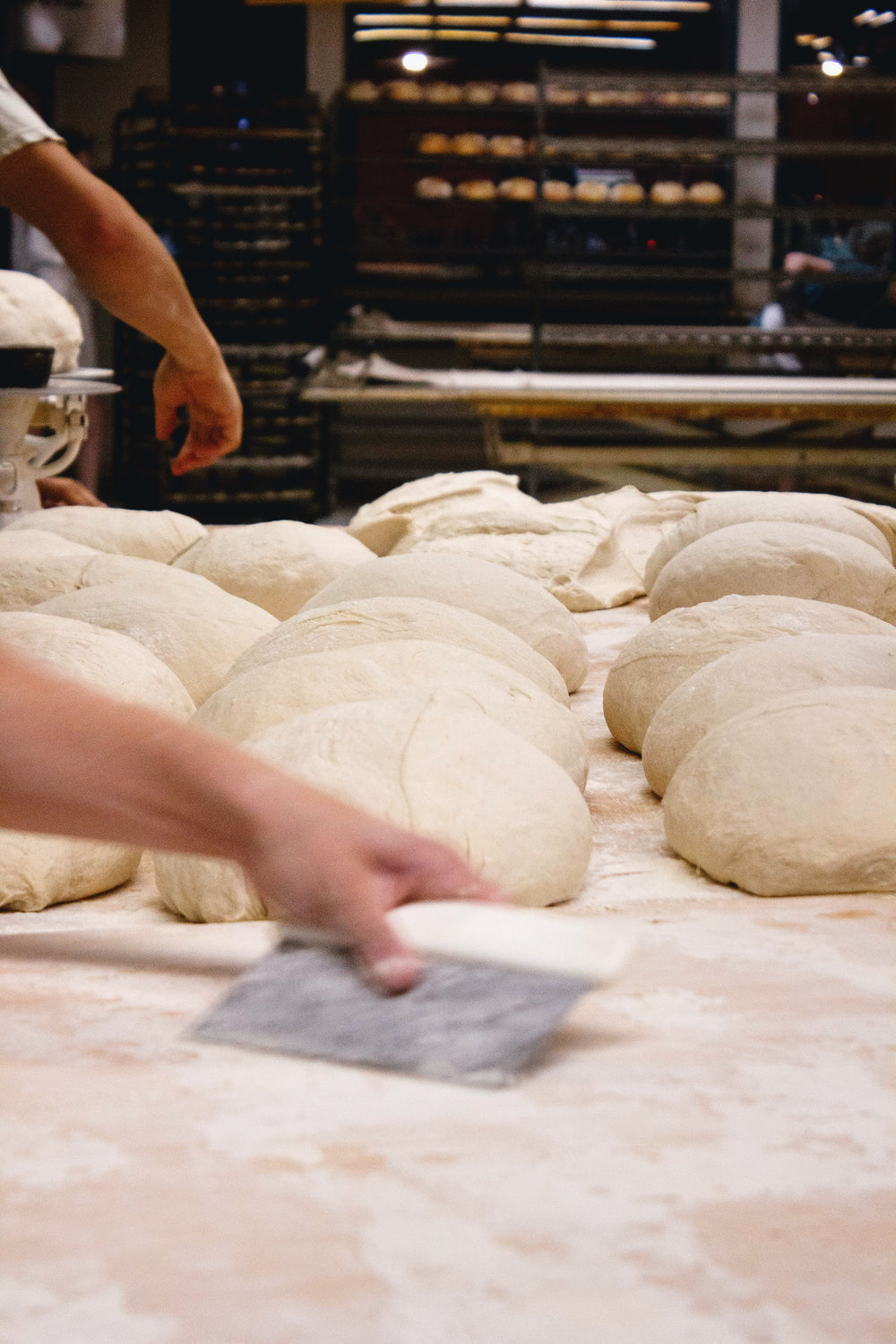Baker preparing dough in a bakery with multiple loaves on the table