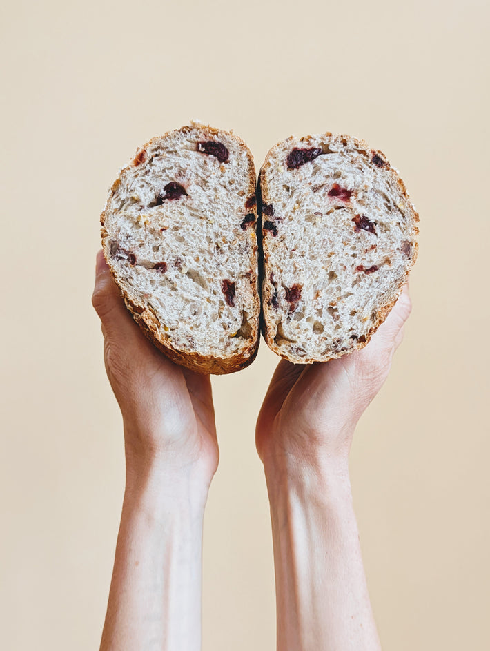 A person holding a sliced cranberry-pecan sourdough loaf, revealing the interior texture and ingredients.