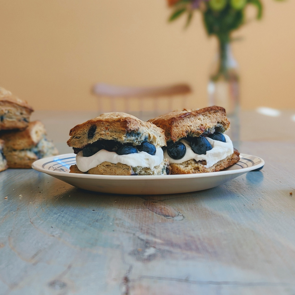 Two split scones filled with whipped cream and fresh blueberries on a plate on a wooden table