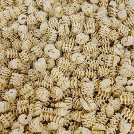 Close-up of uncooked Radiatore pasta
