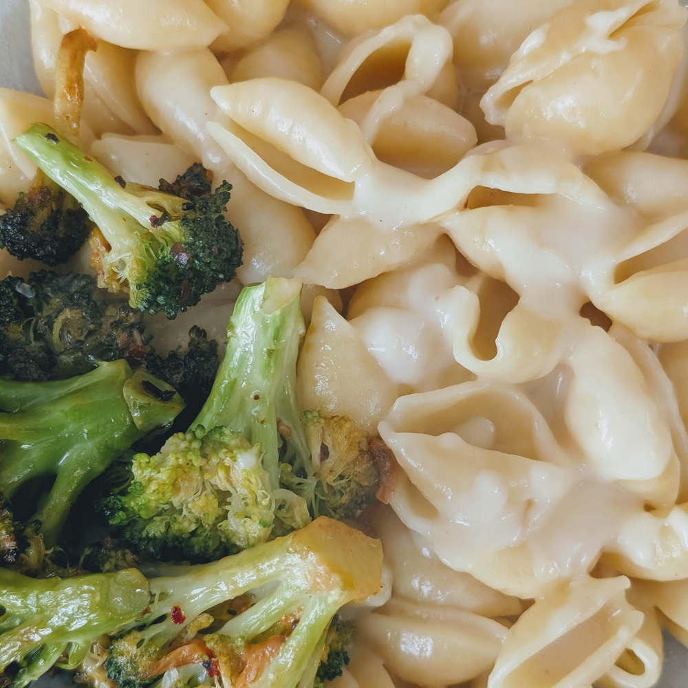 Close-up of pasta shells in creamy white cheese sauce with roasted broccoli florets
