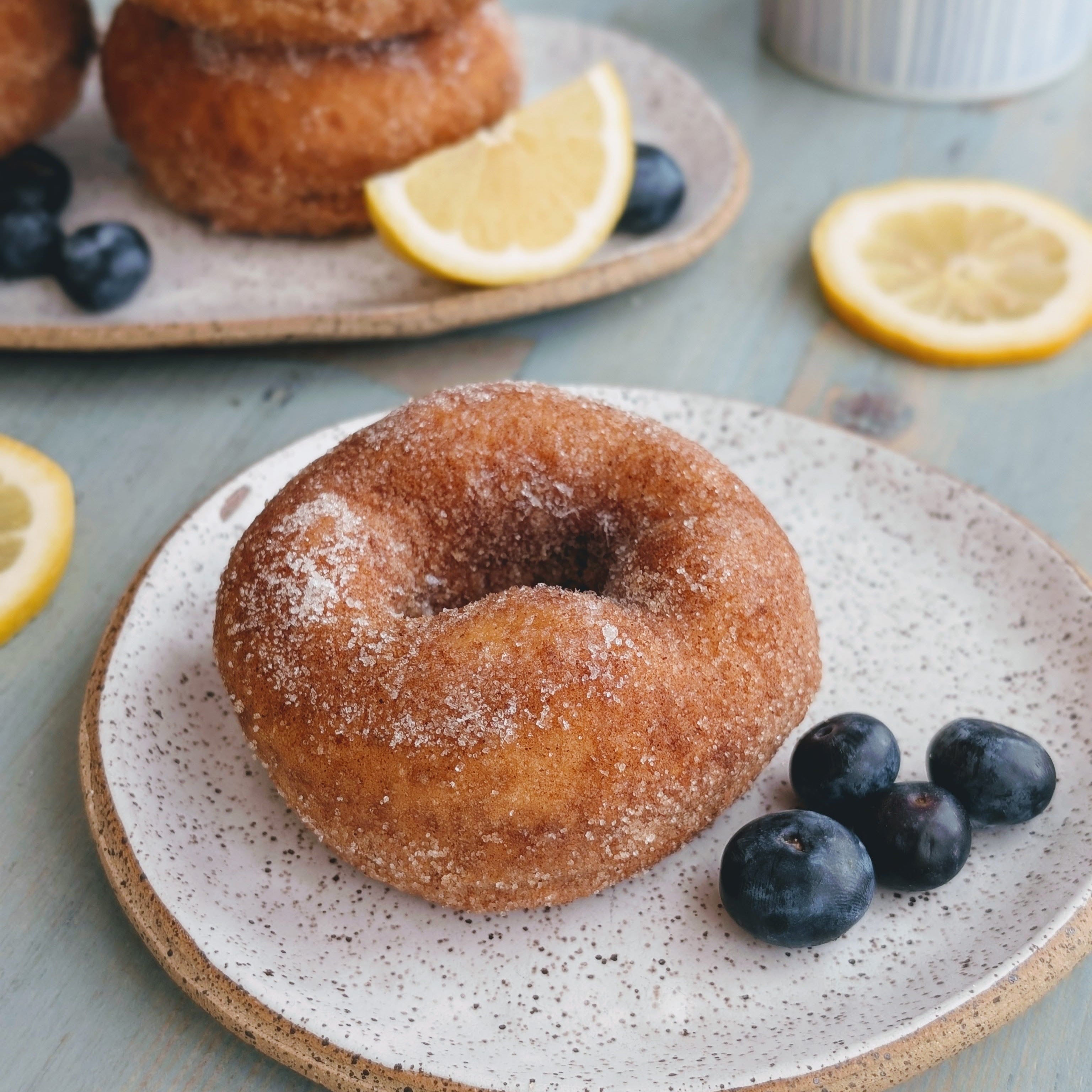 Blueberry Lemon Donuts (6-pack)