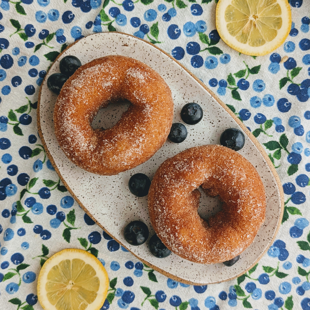 Blueberry Lemon Donuts (6-pack)