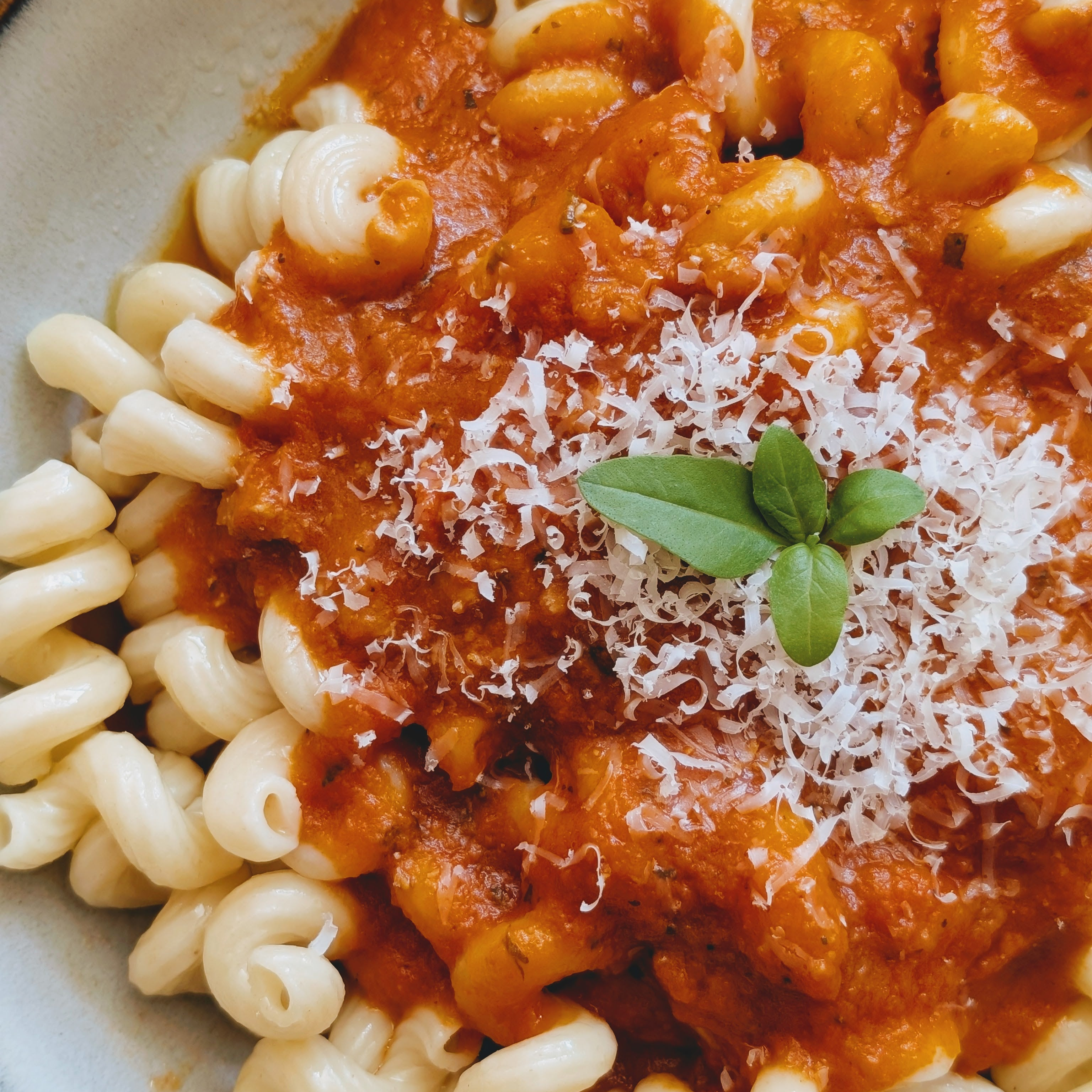 Cavatappi pasta with tomato sauce, grated Parmesan and a small basil sprig, close-up