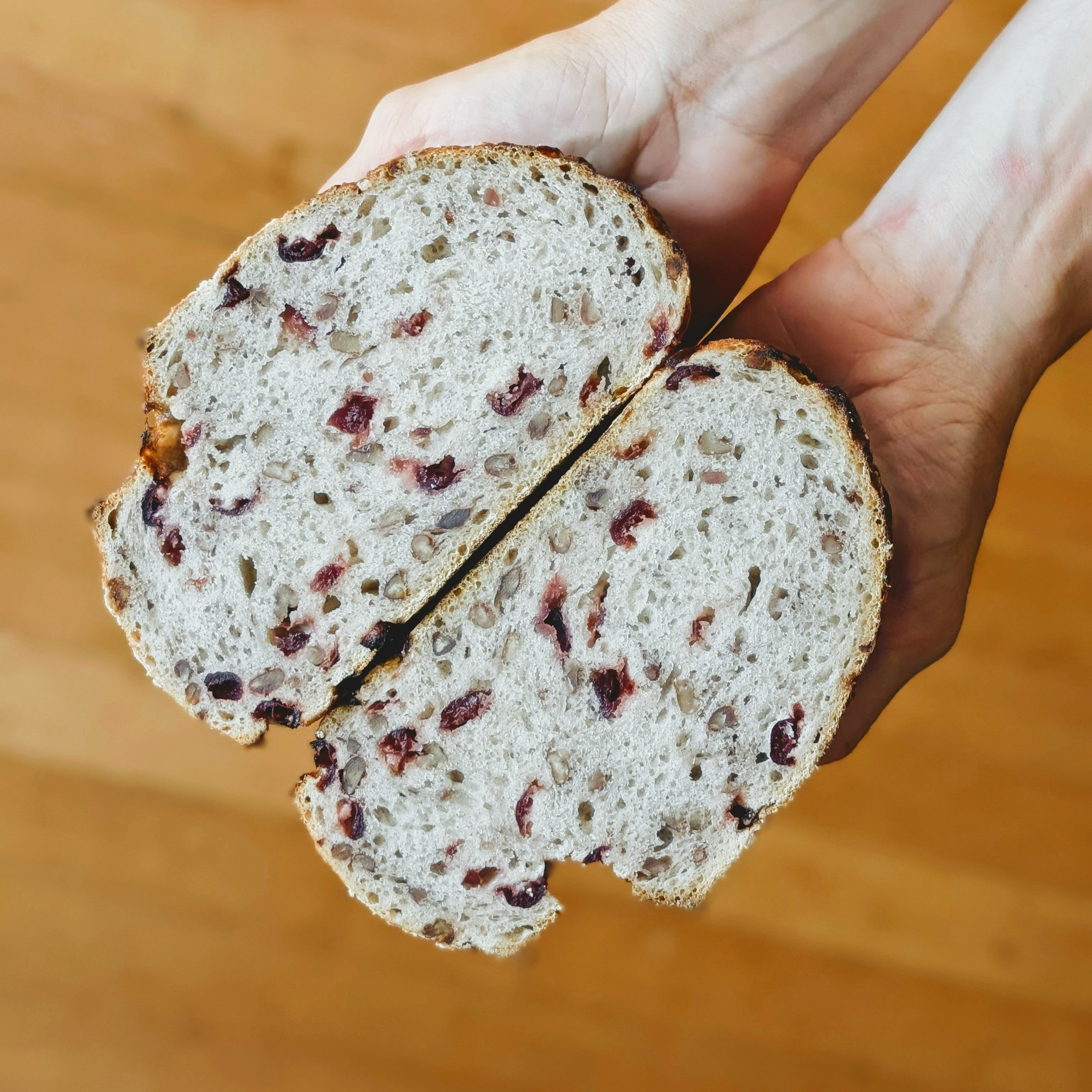 Hands holding a halved cranberry-walnut loaf, showing speckled crumb and crust.