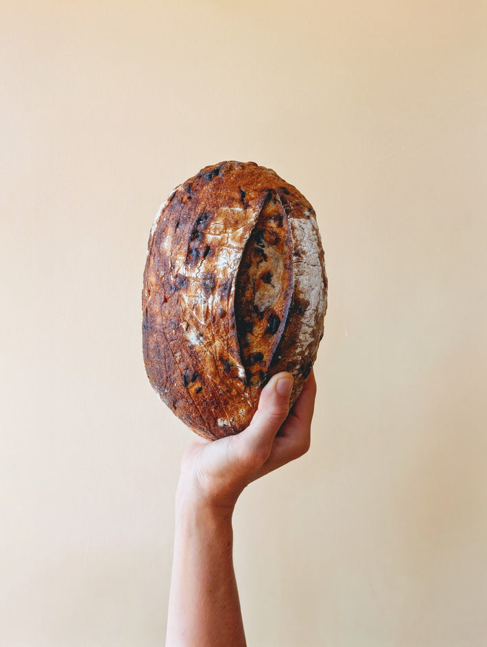 Hand holding a round rustic sourdough loaf with dark crust and flour dusting against a pale beige background.