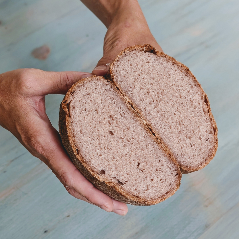 A person holding a sliced gluten-free country loaf showing its interior texture.