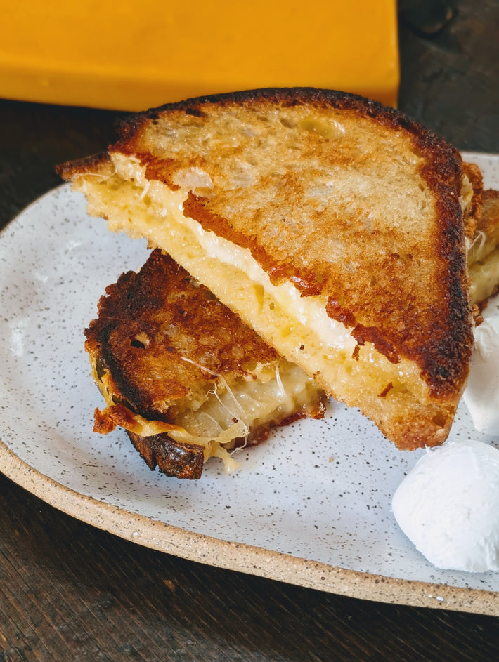 Grilled cheese sandwich halves on a speckled plate, golden crust and melted cheese oozing