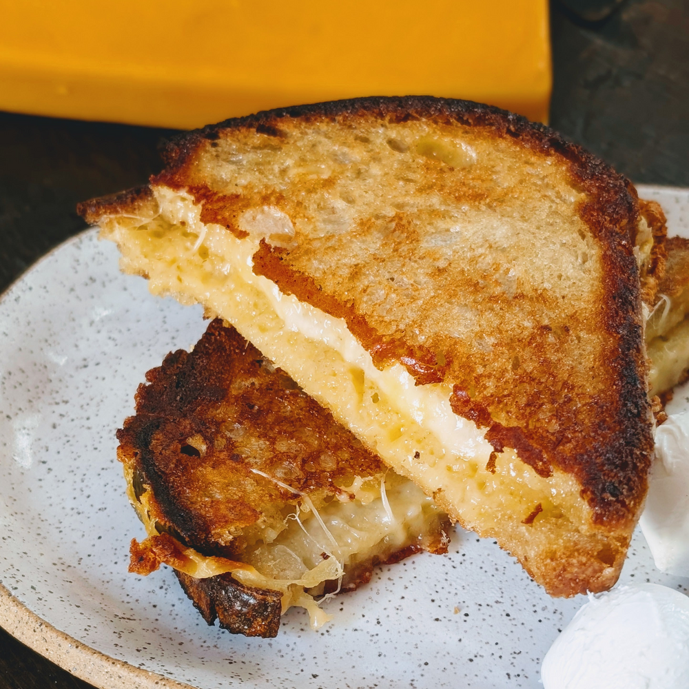 Toasted grilled cheese sandwich, halved to show melted cheese, on a speckled plate with a white dollop