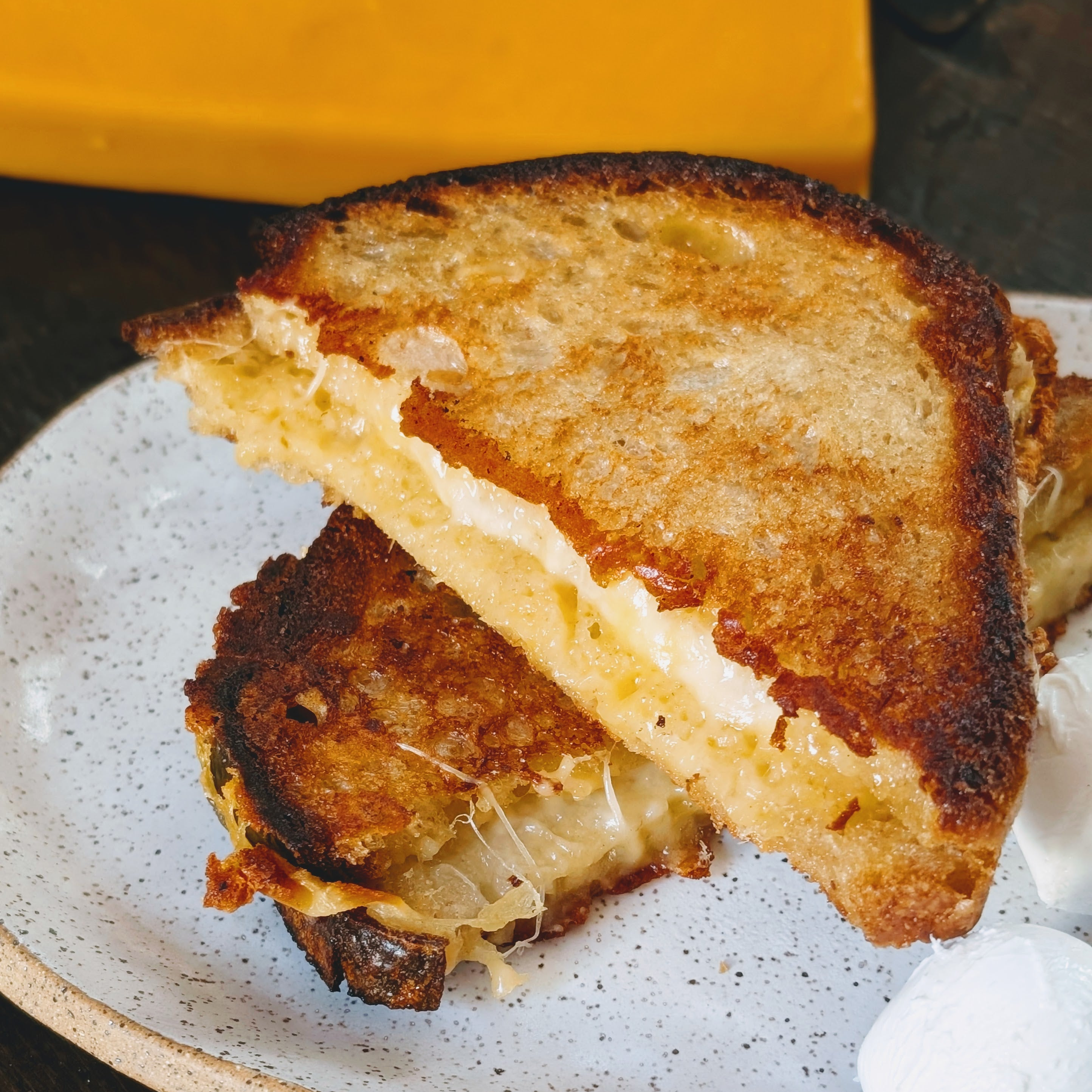 Toasted grilled cheese sandwich, halved to show melted cheese, on a speckled plate with a white dollop