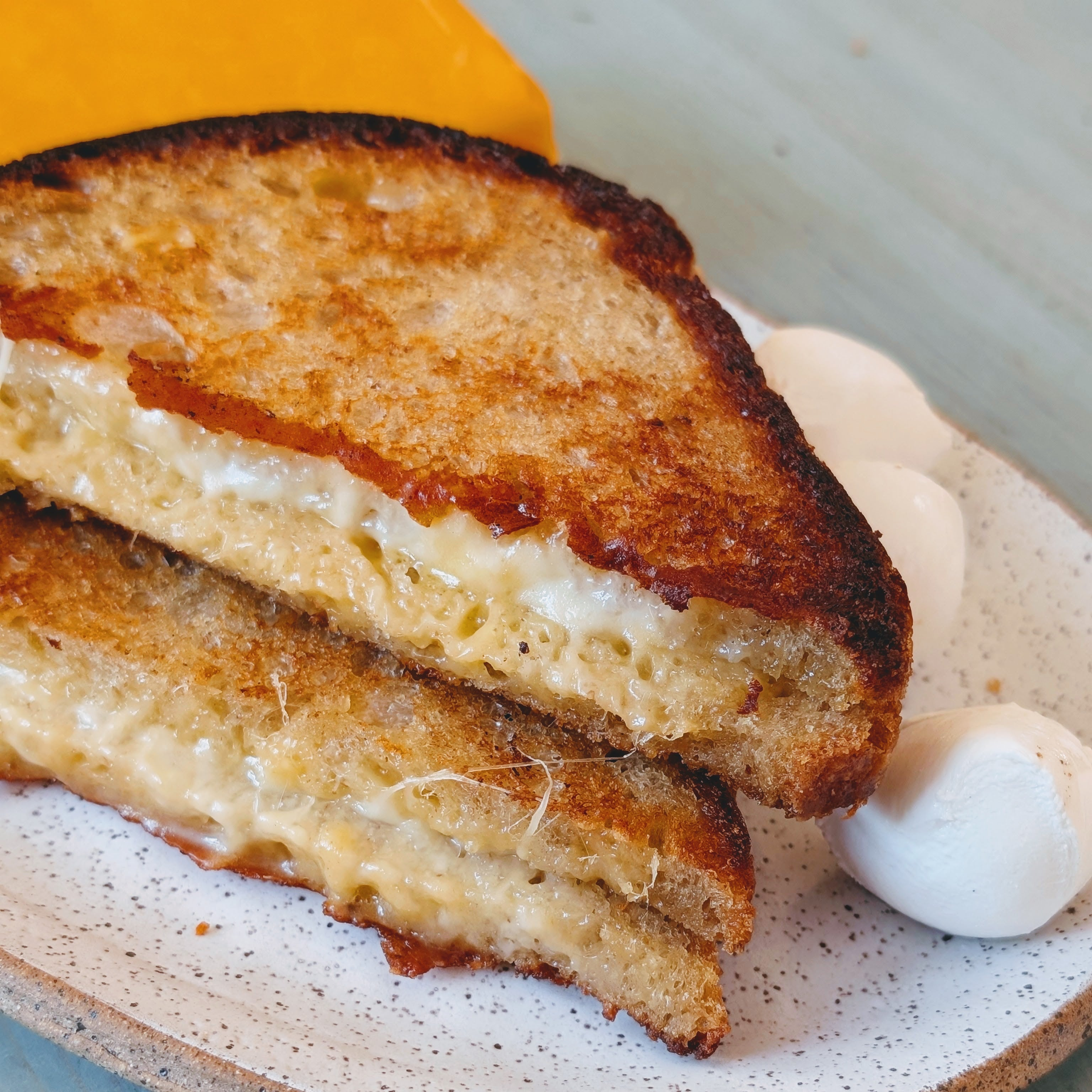 Grilled cheese sandwich halves with melted cheese on toasted sourdough, on a speckled plate with two white dollops