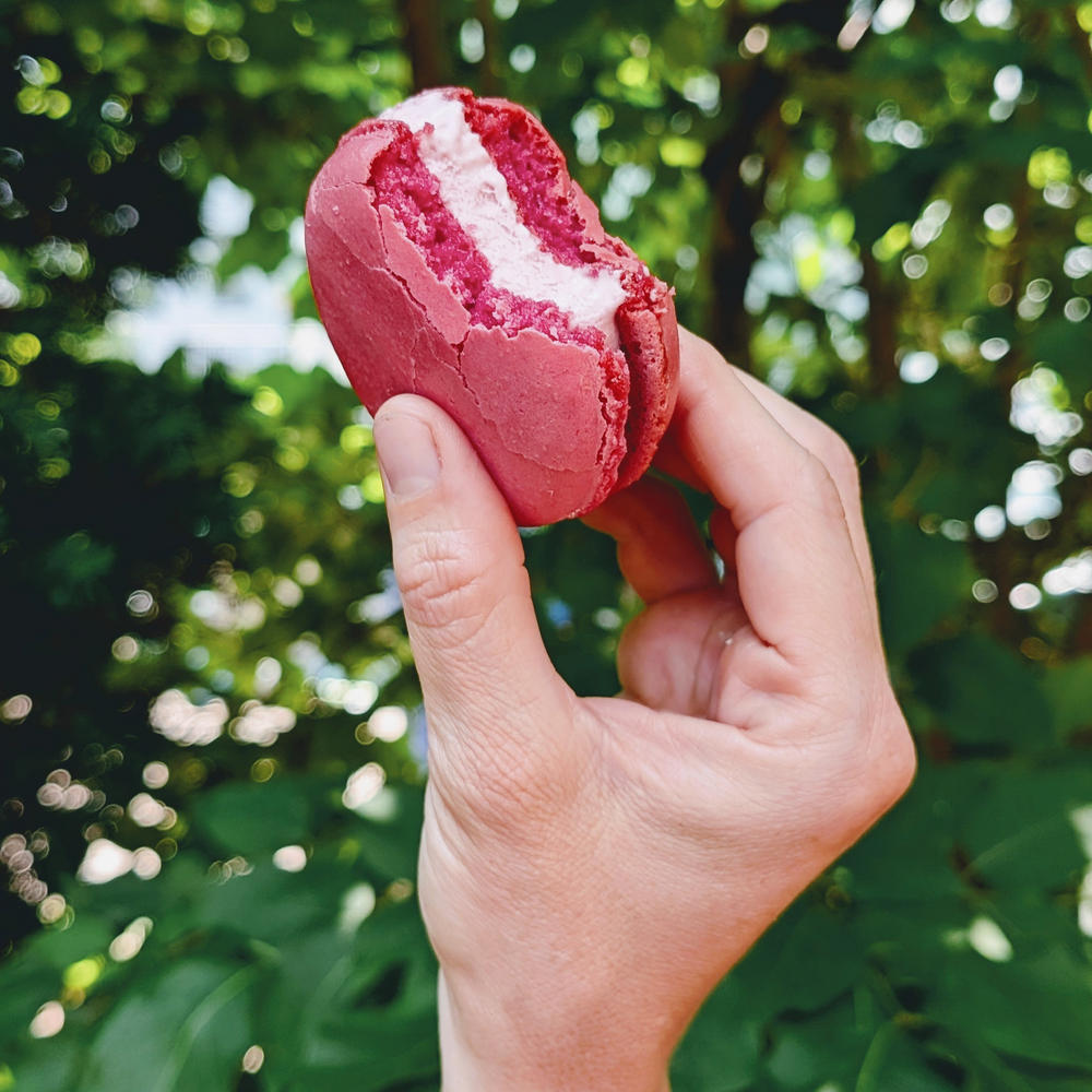 Hand holding a bitten pink macaron with white cream filling against leafy green background