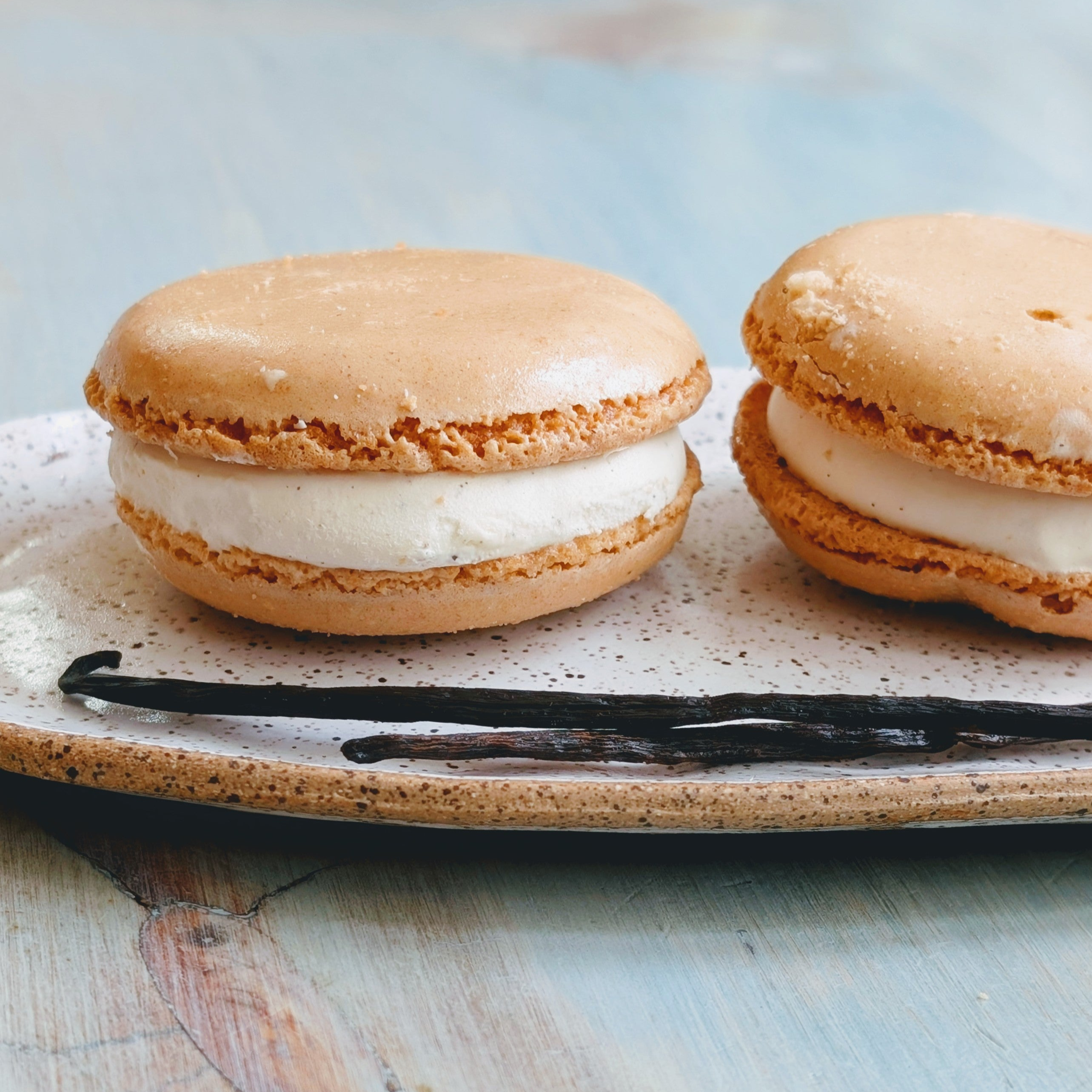 Two vanilla-filled macarons on a speckled ceramic plate with two vanilla beans
