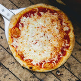 Overhead of slow-fermented New York cheese pizza showing bubbly mozzarella and golden charred crust on pizza peel in oven