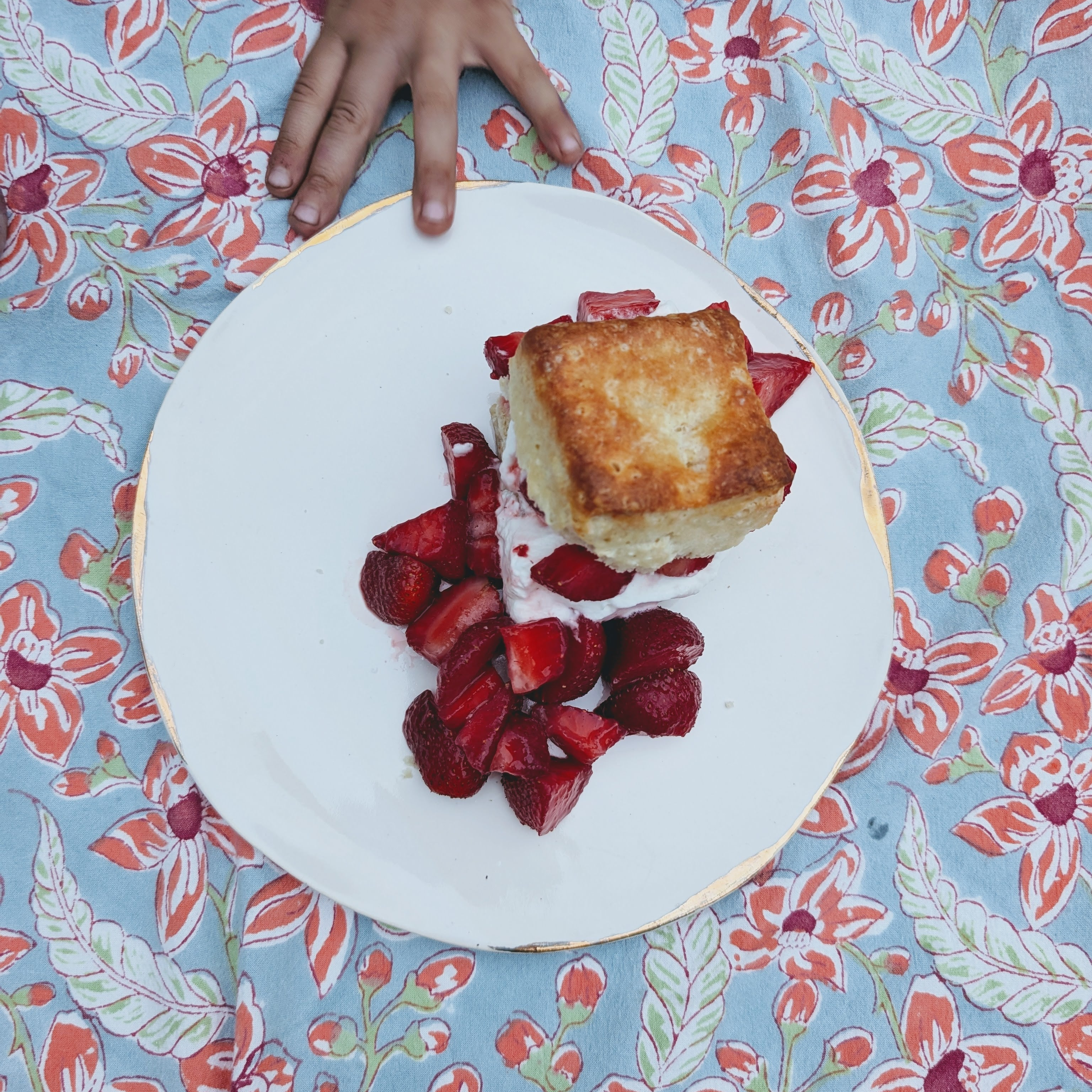 Buttermilk biscuit with cream and sliced strawberries on white plate over floral cloth, child's hand at plate edge