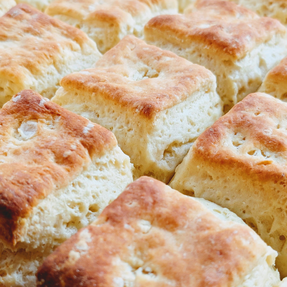 Golden-brown square biscuits with flaky tops, arranged closely in rows.