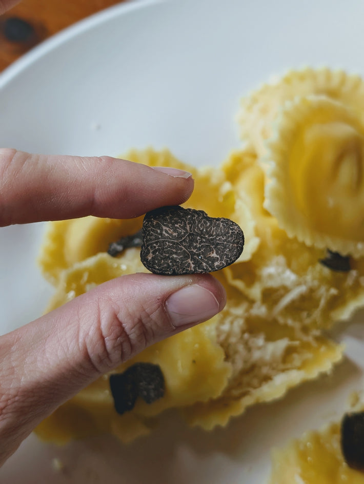 A hand holding a small black truffle above ravioli, highlighting the dish's gourmet appeal.