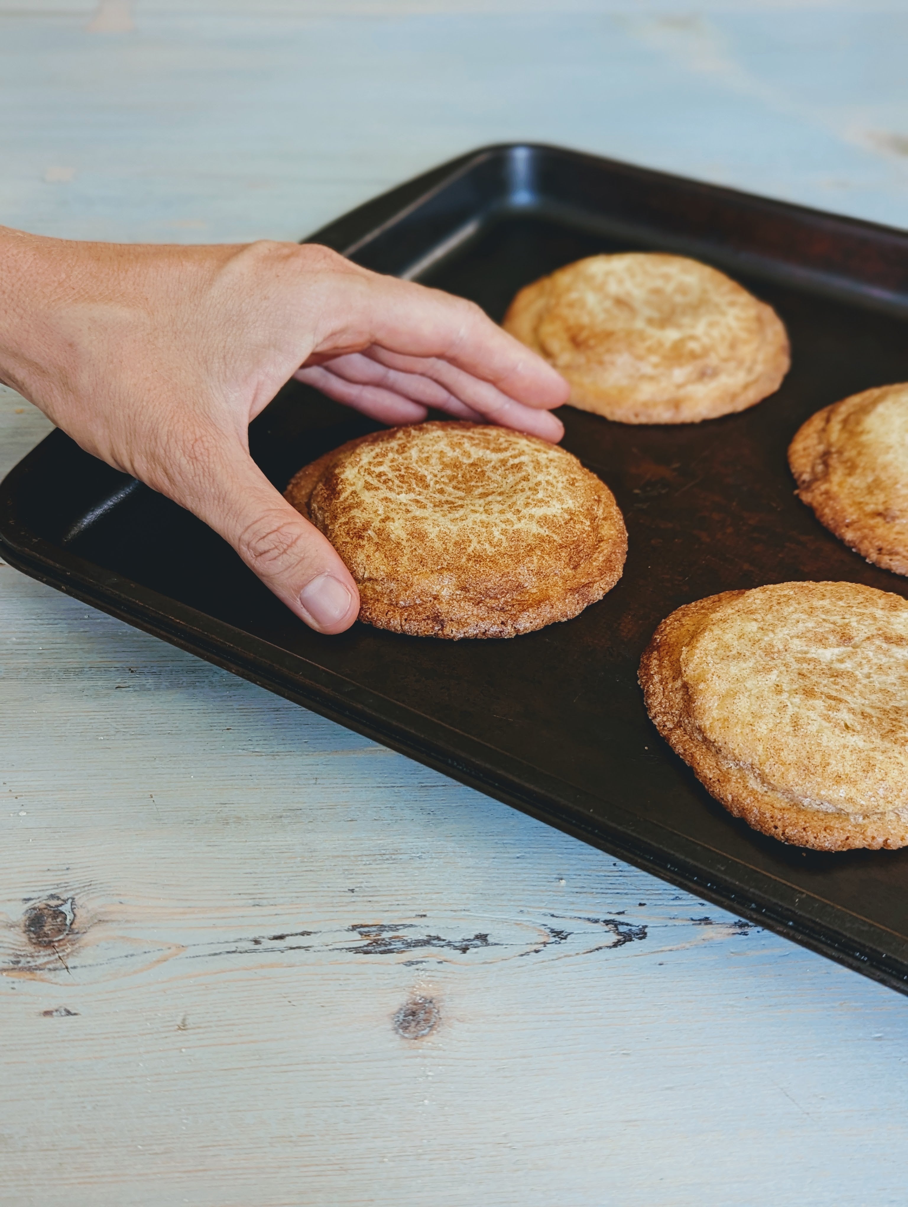 Gluten-Free Giant Snickerdoodle Cookies (6-pack) | Wildgrain by