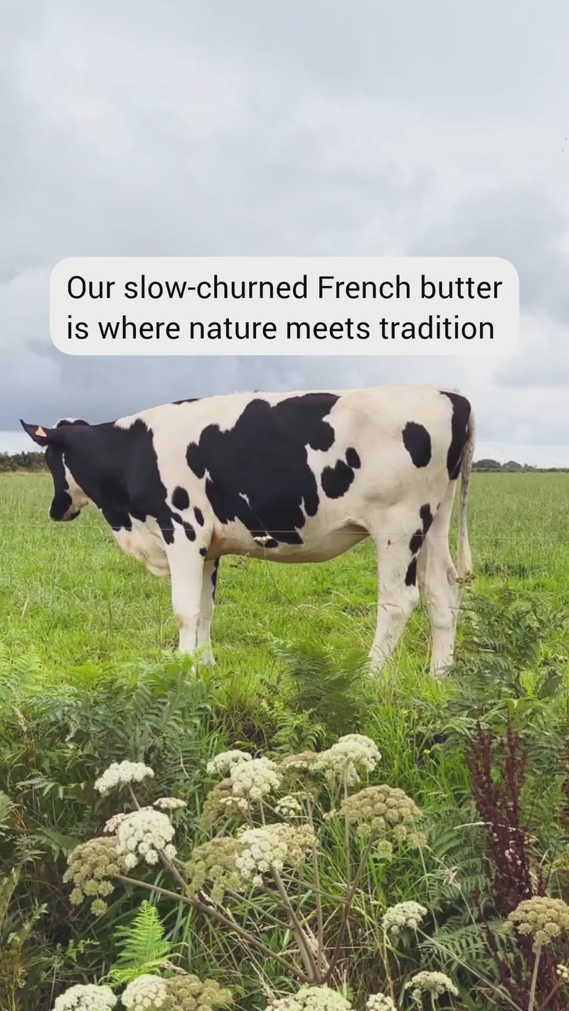 Cow standing in grassy field; overlaid text reading 'Our slow-churned French butter is where nature meets tradition'