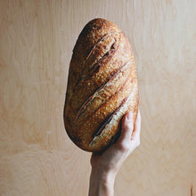 Load image into Gallery viewer, Wildgrain Sourdough Loaf